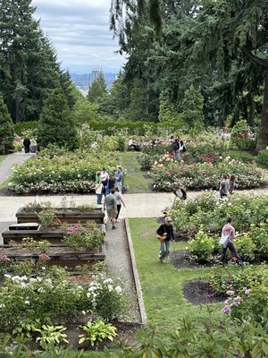 International Rose Test Garden by null International Rose Test Garden by null