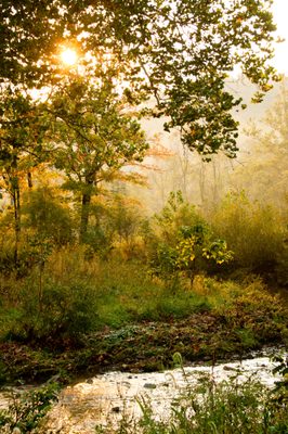 Frick Environmental Center by null