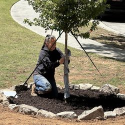 Kilpatrick's Tree Farm & Nursery - New from tree