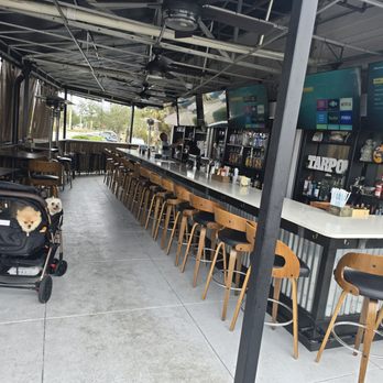 The Salty Tarpon - Sports Bars Near Me - Punta Gorda, Florida