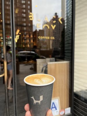 Black Fox Coffee by null