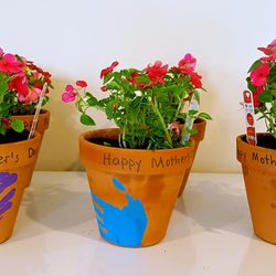 Liberty Learning Centers