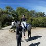 Photo of Dreamtime Sport Horses - Bethany Wallace