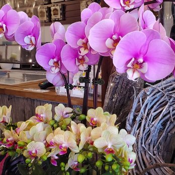Ashbourne Flowers and Gifts - Inside the flowershop. - Flowers & Gifts Near Me - Toronto, Ontario