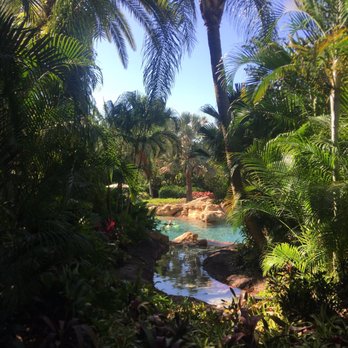 Discovery Cove - Amusement Parks Near Me - Orlando, Florida