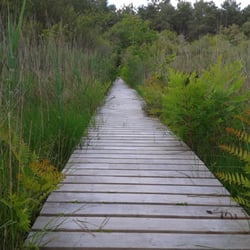 Réserve Naturelle Etang Noir