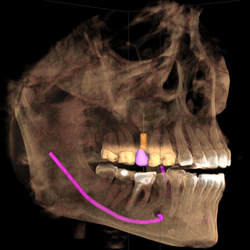 Lakemoor Dental