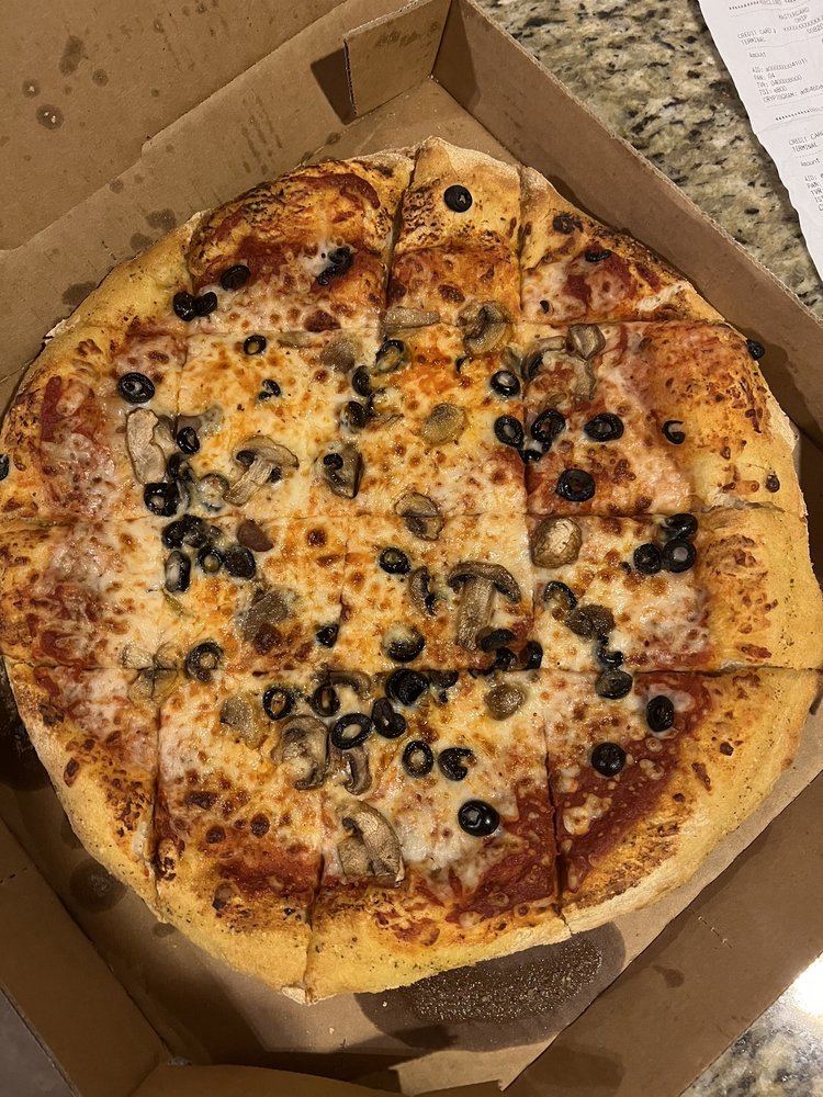 Domino's Pizza Logo