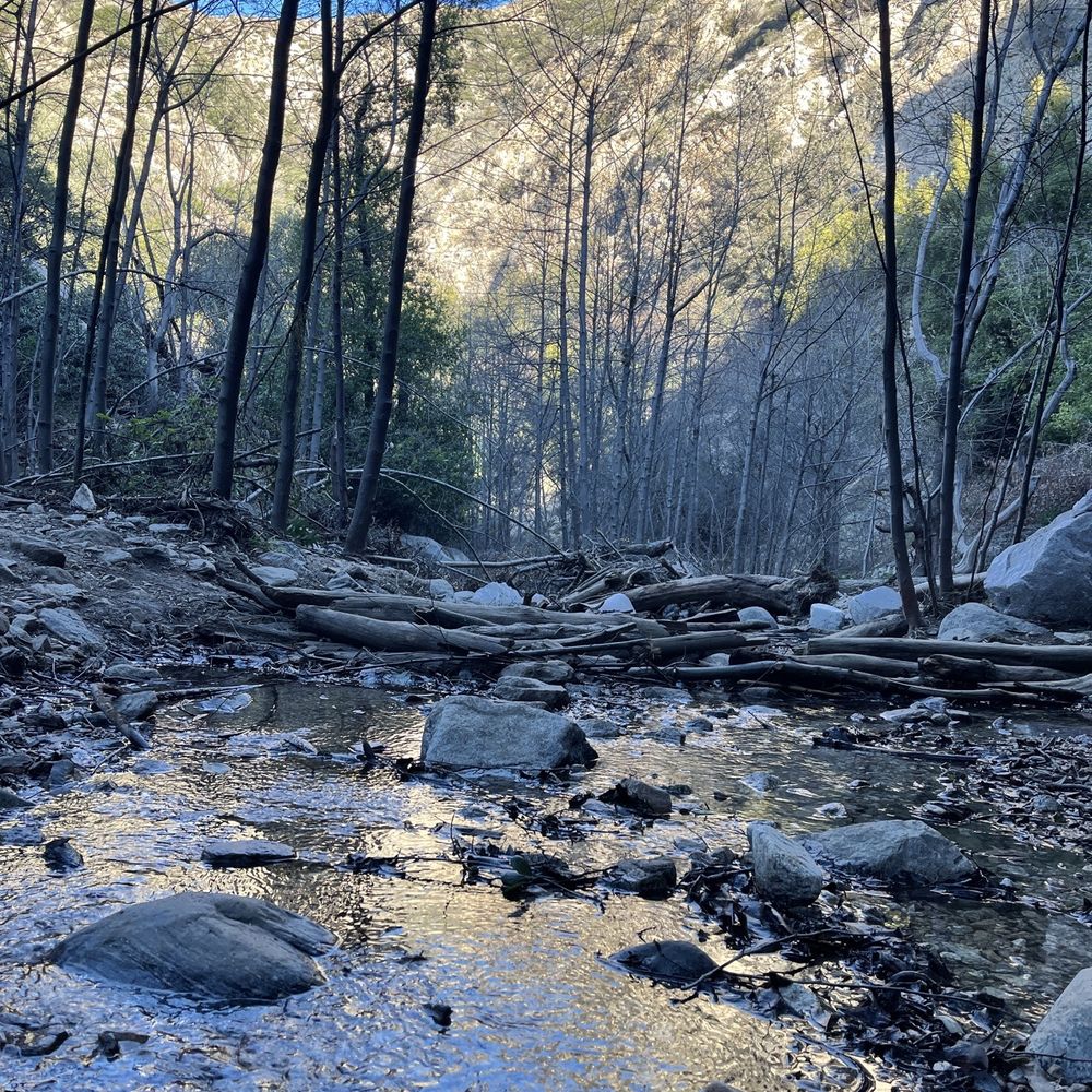 Millard Canyon - Parks Near Me - Altadena, California Millard Canyon - Parks Near Me - Altadena, California
