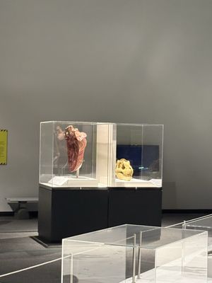 Michigan Science Center by null