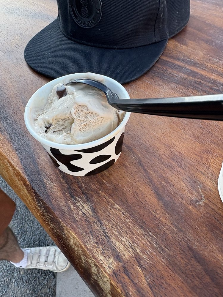 o Jupiter Florida Real Estate For Sale