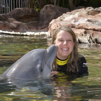 Discovery Cove - Swim with Dolphins. - Amusement Parks Near Me - Orlando, Florida