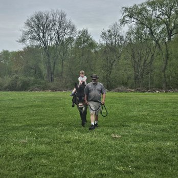 Guilford Fair Grounds - Donkey rides - Venues & Event Spaces Near Me - Guilford, Connecticut