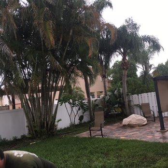 American Arbor Services - Tree Services Near Me - Pembroke Pines, Florida American Arbor Services - Tree Services Near Me - Pembroke Pines, Florida