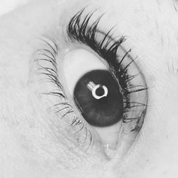 Donna Celona LCMT, ET - Lash lift and tint