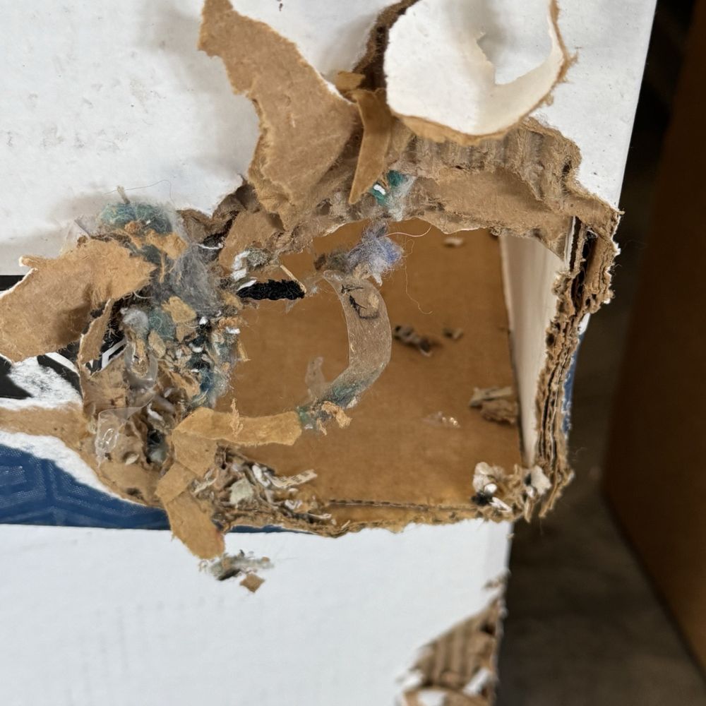 StorQuest Self Storage - More rat damage - Self Storage Near Me - San Jose, California StorQuest Self Storage - More rat damage - Self Storage Near Me - San Jose, California