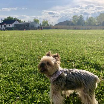 The Bark Park & Patio - Dog Parks Near Me - Florence, Kentucky