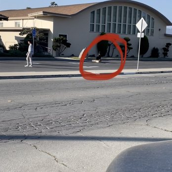 Akina K9 - Pet Training Near Me - Gilroy , California