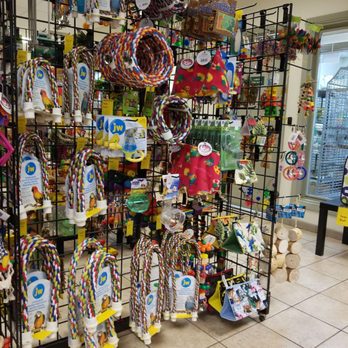 Exotic Bird Hospital - Toys - Veterinarians Near Me - Jacksonville, Florida Exotic Bird Hospital - Toys - Veterinarians Near Me - Jacksonville, Florida