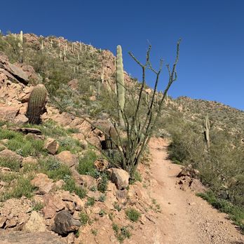 Sunrise Trailhead - Hiking Near Me - Scottsdale, Arizona