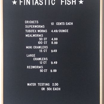 Fintastic Fish - Local Fish Stores Near Me - Scotts Valley, California