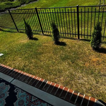 Arise and Shine Design - Tree installments - Landscaping Near Me