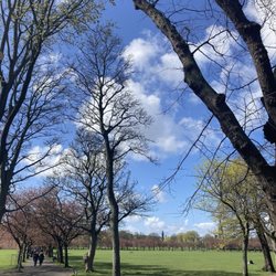 The Meadows