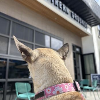 Southern Grounds - Patio - Coffee & Tea Near Me - St. Petersburg, Florida Southern Grounds - Patio - Coffee & Tea Near Me - St. Petersburg, Florida