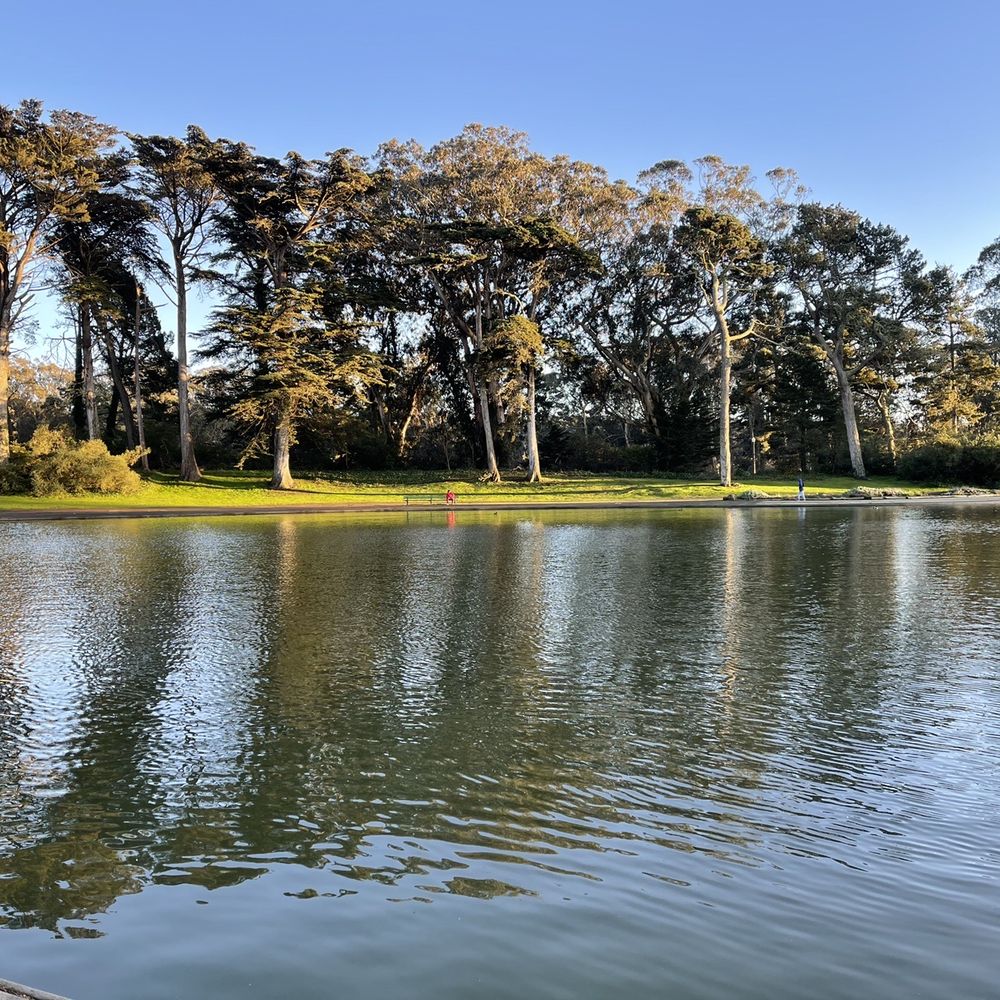 Spreckels Lake - Lakes Near Me - San Francisco, California Spreckels Lake - Lakes Near Me - San Francisco, California
