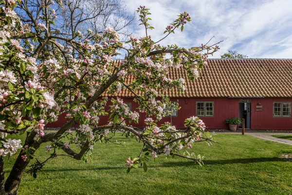 Museumscaféen Brøndums Havehus by null