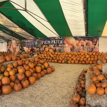 Tina's Pumpkin Patch - Pumpkin Patches Near Me - Sherman Oaks, California Tina's Pumpkin Patch - Pumpkin Patches Near Me - Sherman Oaks, California