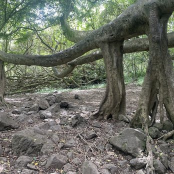 Pipiwai Trail - Hiking Near Me - Hana,, Hawaii