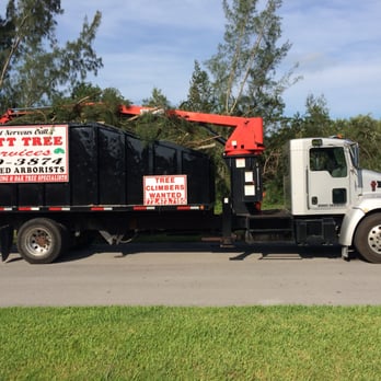 Scott Tree Services - Tree Services Near Me - Vero Beach, Florida Scott Tree Services - Tree Services Near Me - Vero Beach, Florida