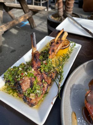 Photo of Habana Cuba Restaurant - San Jose, CA, US. Grilled Lamb Chops