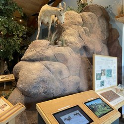 Mueller State Park - Inside the visitor's center