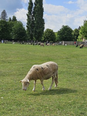 Hameau de la Reine by null