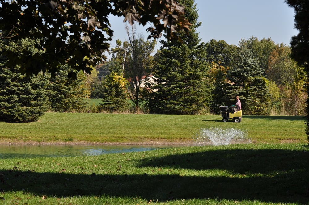 Back To Nature Lawn Care - tree service in Milan, MI