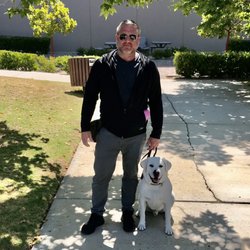 K9 Commands - Taking this lab on a focused walk. He has been making mom and dads life miserable on the leash!
No problem!  We can fix that:)