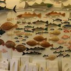 Grainger Pottery - The most amazing & lifelike ceramic fish wall art!