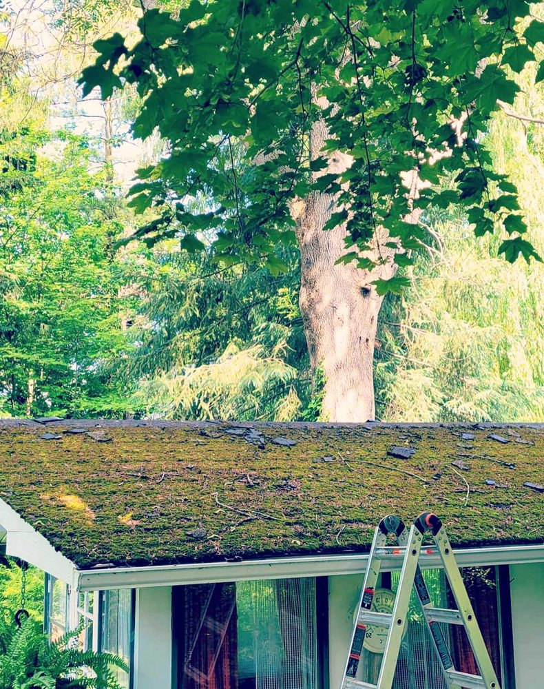 Slide of Dove Springs Roofing