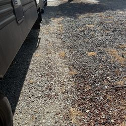99 West RV Park - Sites