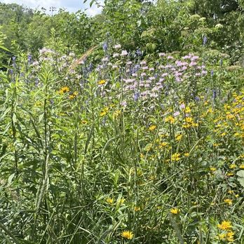 Mckinley Park - Parks Near Me - Chicago, Illinois