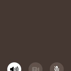 Walgreens - How long I've been on hold, and guess what I'm still on hold!!!