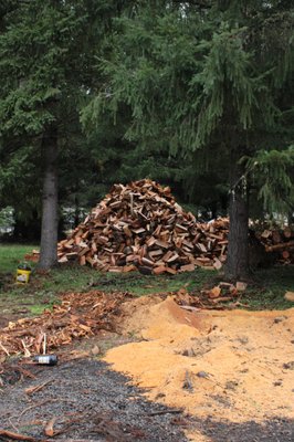 Cut Firewood for sale! - We have Firewood available for sale by the cord. Call or text today and mention Yelp for $10 off your first purchase. Schedule your delivery today. Our wood ranges from $250-350 per cord. Cut Firewood for sale! - We have Firewood available for sale by the cord. Call or text today and mention Yelp for $10 off your first purchase. Schedule your delivery today. Our wood ranges from $250-350 per cord.