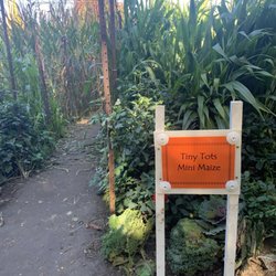 Knox Pumpkin Farm - Kid friendly maze