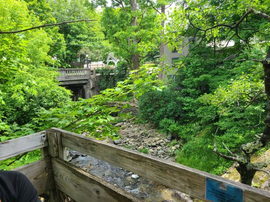 Warren Store by null