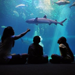 Maui Ocean Center