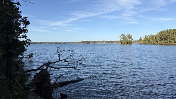 Dreher Island State Park by null