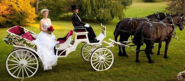 Rebec Vineyards by null