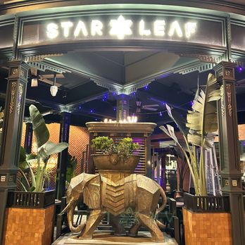 Star Leaf - Entrance to Star Leaf - Asian Fusion Near Me - Pasadena, California